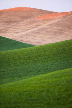 Idyllic Countryside: 4K Ultra HD Görüntü Bulutlu Gökyüzü Altında Bahar Buğday Sahası