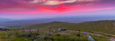 Blooming Beauty: Büyüleyici 4K Ultra HD Fotoğraf Arvin, Kaliforniya 'daki Erken Bahar Çiçek Sahası