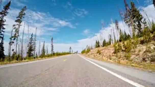 Scenic Drive Exploring Wyoming Grand Teton National Park Video — Stock Video