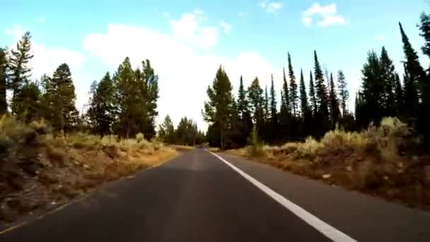 Scenic Drive Utforska Wyomings Grand Teton National Park Video — Stockvideo