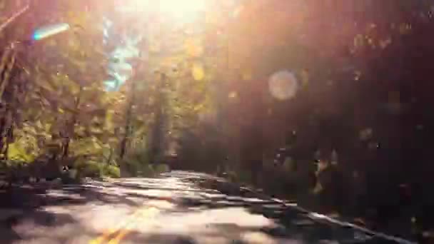 森林车道 公路在南达科他州的荒野中行驶的4K视频 — 图库视频影像