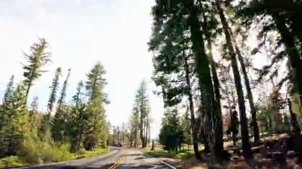 Explorarea Yosemite Video Drive Prin Țara Minunilor Naturii — Videoclip de stoc