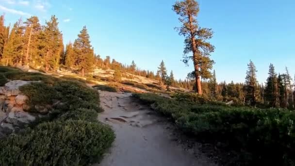 浸透性ストロール 4Kビデオでヨセミテ国立公園を歩く — ストック動画
