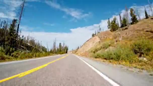Forest Drive Οδήγηση Αυτοκινητόδρομο Μέσα Από Την Άγρια Φύση Της — Αρχείο Βίντεο