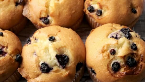 Delectable Treat Close Van Bosbessen Muffins Video — Stockvideo