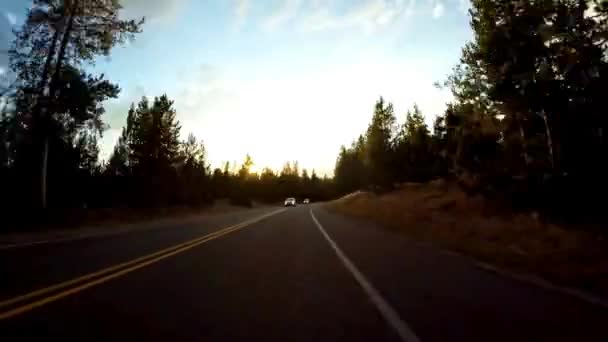 Scenic Drive Alla Scoperta Del Grand Teton National Park Del — Video Stock
