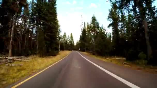 Scenic Drive Alla Scoperta Del Grand Teton National Park Del — Video Stock