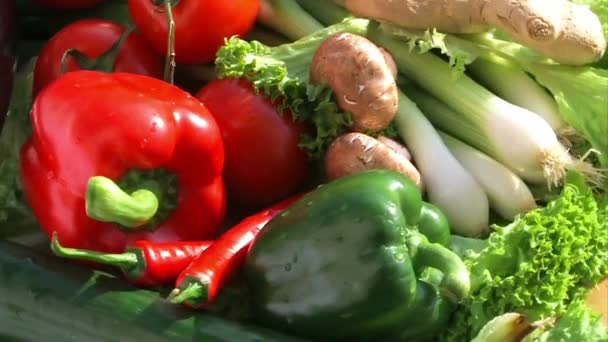 Vibrant Medley Close Fresh Smíšené Zelenina — Stock video