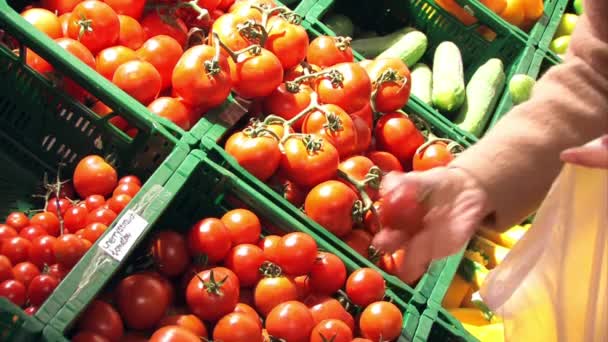 Selecție Organică Close Femei Care Aleg Roșii Proaspete Supermarket — Videoclip de stoc