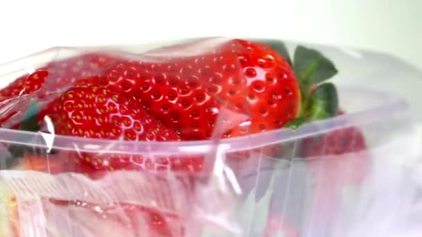 Verse Oogst Video Van Aardbeien Verpakking — Stockvideo