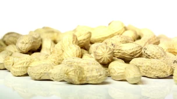 Nutty Delight Close Video Peanuts — Stok Video