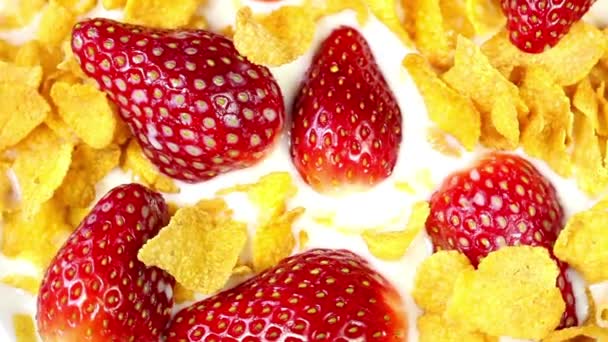 Morning Bliss Close Video Fresh Corn Flakes Milk Strawberries — Stock Video
