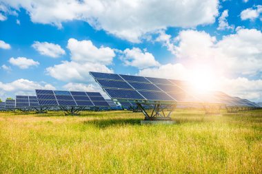 Beautiful View of Solar Panels in Grass Field: 4K Image clipart