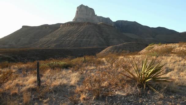 德克萨斯国王陛下 4K视频游览瓜达卢佩山脉国家公园 得克萨斯州的最高峰和历史地标 — 图库视频影像