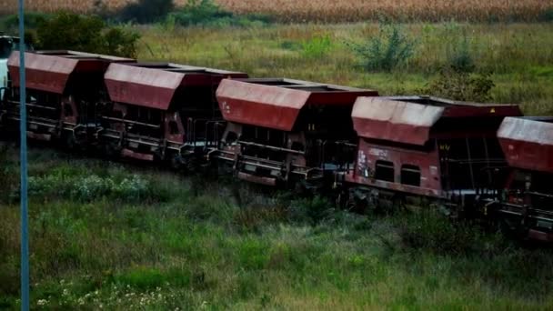 Coal Transport Closeup Cargo Train Passing Field Specially Designed Wagons — Αρχείο Βίντεο