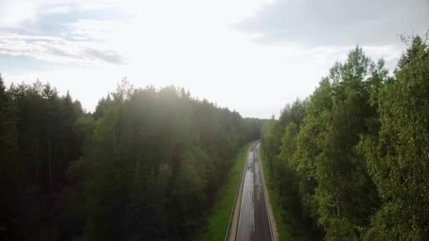 Serenidad Atardecer Vídeo Aéreo Uhd Forest Road Con Lente Través — Vídeo de stock