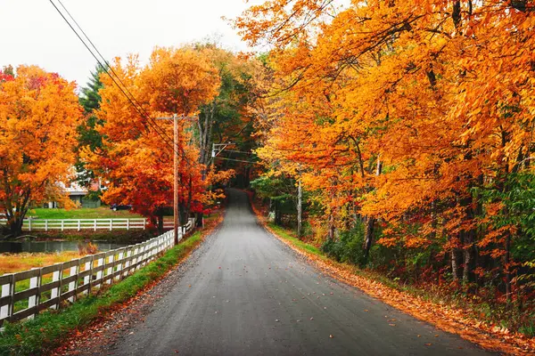 stock image Autumn Symphony: Captivating New England Road in 4K Ultra HD