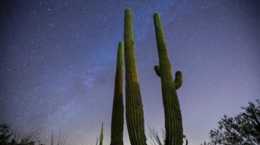 4K Ultra HD Süratli Saguaro Kaktüs Üssü 'nün Gece Gökyüzünde Dönen Samanyolu Çekimi