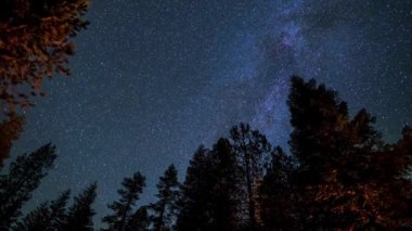 Yosemite Vadisi 'ndeki Siluetli Ağaçlar' dan Geceleyin Geçen Samanyolu 'nun 4K Ultra HD Hızı