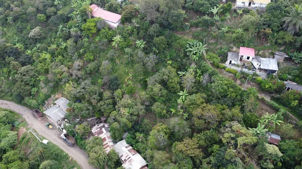 Ağaçlar Yeşilliklerle Çevrili Küçük Bir Köyün Yüksek Açılı Görüntüsü — Stok fotoğraf