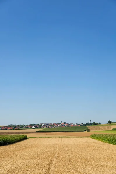 Almanya 'da yazın bir manzara. Arpa (Hordeum vulgare) ve Güney Almanya 'da bir köyle