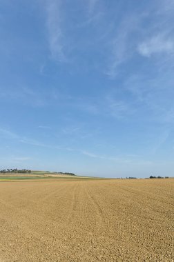 Sonbaharda Güney Almanya 'da bir tarım arazisi