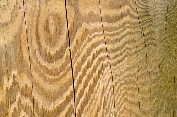 Ahşap, arkaplan olarak resim, duvar kağıdı, detaylarla fotoğraf