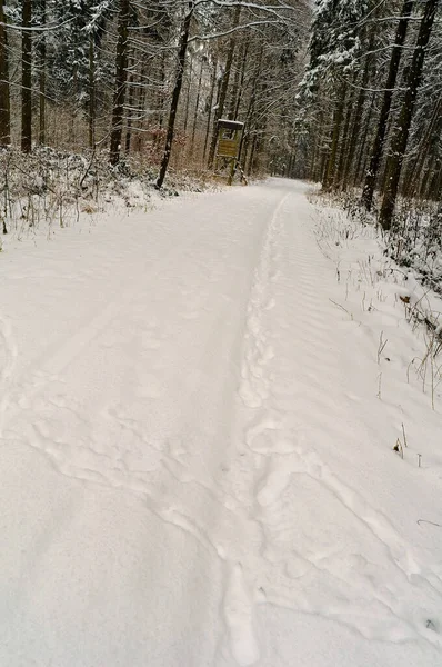 stock image A Forest with snow and road with traces of winter in Germany