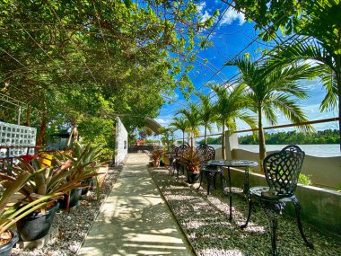 Gün ışığında bir ağaç sürekli büyür, bir koltuğu çerçeveler..