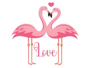 Bir dizi pembe aşk flamingo vektör sanatı