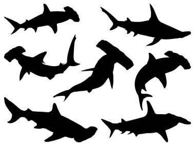 Çekiç başlı köpekbalığı siluet vektör sanatı seti