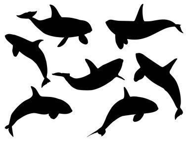 Bir grup katil köpekbalığı siluet vektör sanatı