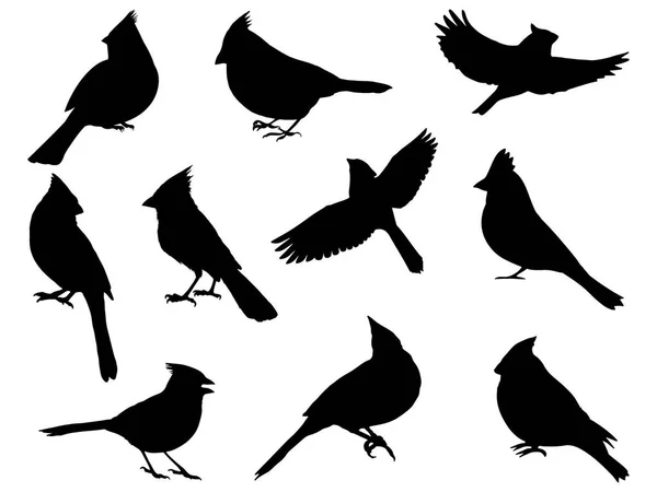 Ensemble Art Vectoriel Silhouette Oiseau Cardinal — Image vectorielle