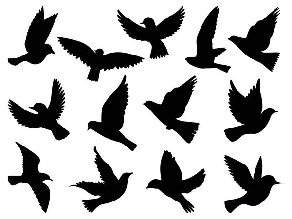 Set of siluetas bird silhouette vector art