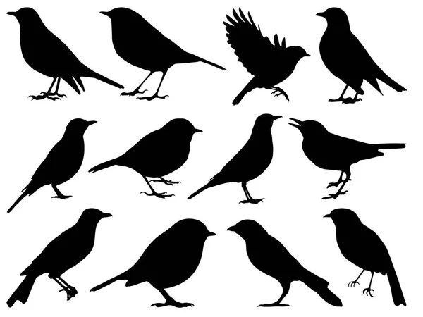 Ensemble Oiseaux Robin Silhouette Art Vectoriel — Image vectorielle