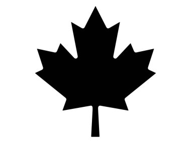 Beyaz arkaplanda Kanada akçaağaç yaprağı vektör sanatı
