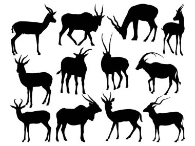 Antilop siluet vektör sanatı kümesi