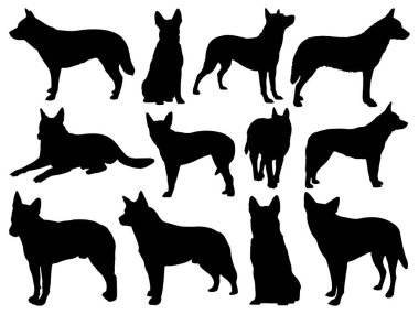 Avustralya sığır köpeği siluet vektör sanat seti
