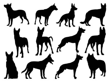 Belçika çoban köpeği siluet vektör sanatı seti