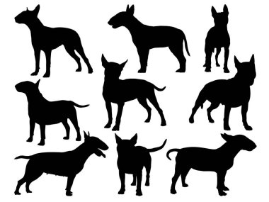 Boğa teriyeri köpek siluet vektör sanatı seti