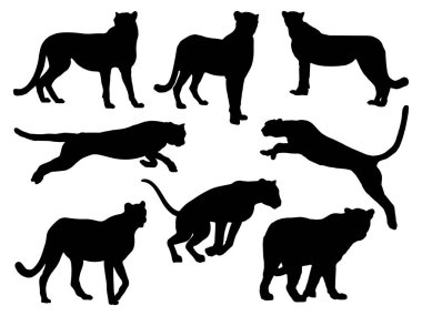 Çita siluet vektör sanatı seti