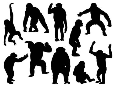 Bir dizi şempanze siluet vektör sanatı