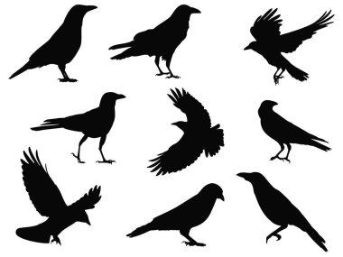 Karga siluet vektör sanatı kümesi
