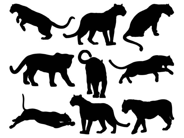 Set of black panther silhouette vector art