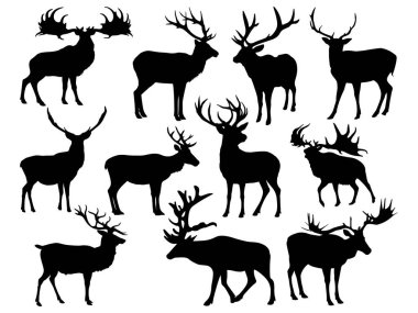 Geyik siluet vektör sanatı seti