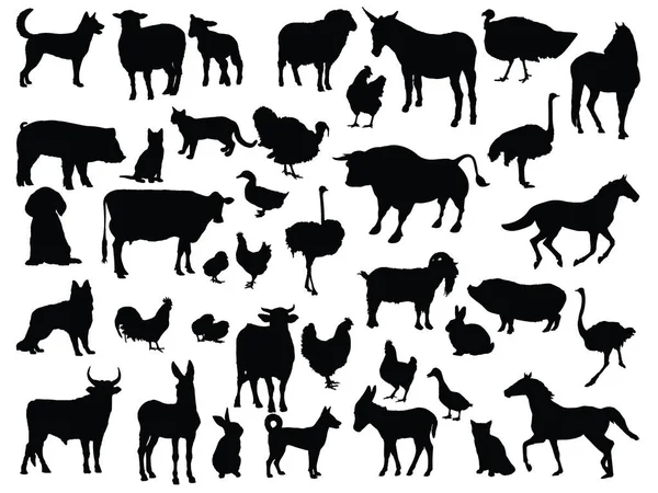 stock vector Farm animals silhouette vector art