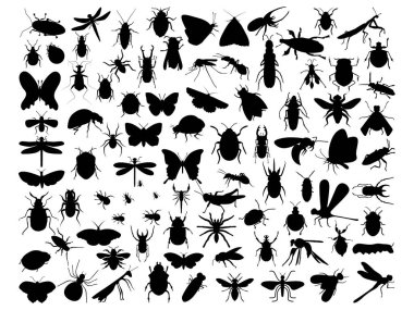 Böceklerin siluet vektör sanatı kümesi
