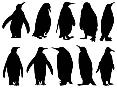 Penguen Siluet vektör sanatı kümesi