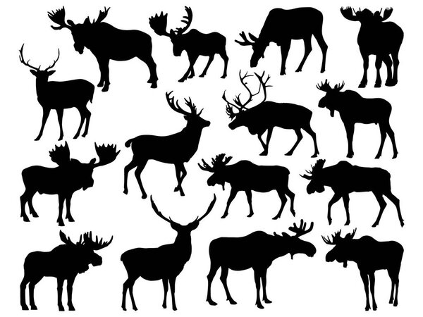 Set of Moose silhouette vector art