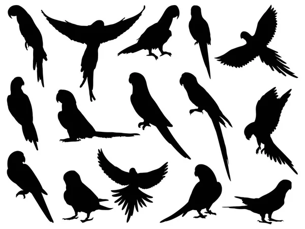 Set Von Papageien Silhouettenvektorgrafik — Stockvektor